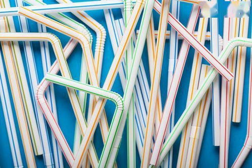 湖南 全省餐飲行業(yè)禁止使用不可降解一次性塑料吸管